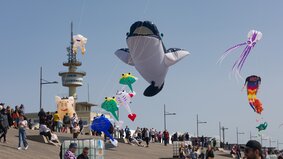 Drachen fliegen in der Luft, viele Menschen sind zu sehen.  | © Helmut Gross_Erlebnis Bremerhaven